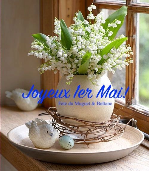 Muguet du bois flower clearance